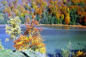 Valea Lotrului